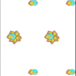 ED-Jall P003 Dup
